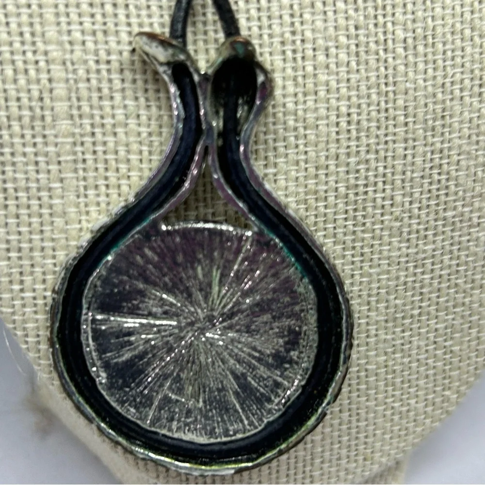 Chico's‎ Amber Silvertone Snake Amulet Pendant Necklace and Matching Earrings